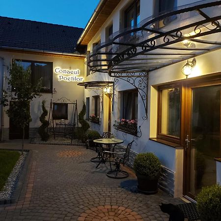 Conacul Poetilor Hotel Gura Rîului Exterior foto