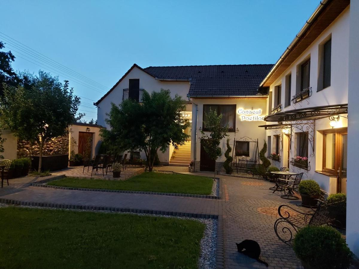 Conacul Poetilor Hotel Gura Rîului Exterior foto